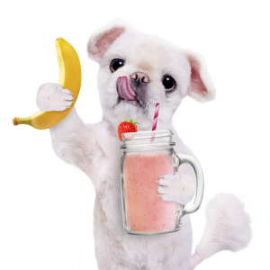 Pooch Smoothies