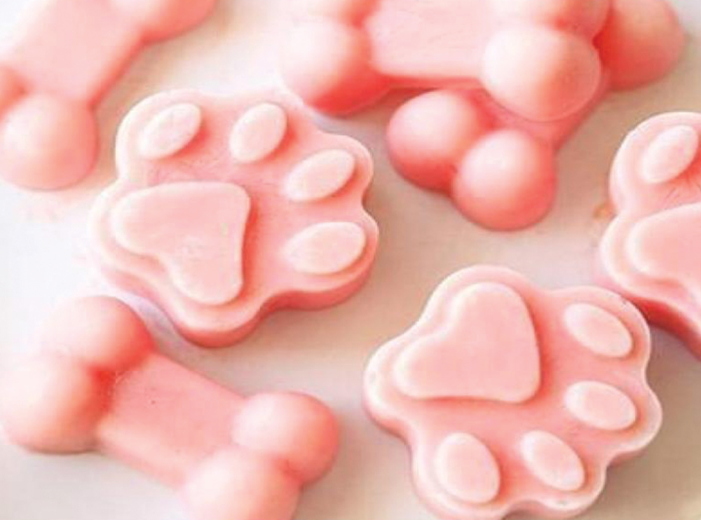 Watermelon Pupsicles Doggie Treats at Swirls N Curls Ice Cream Englewood